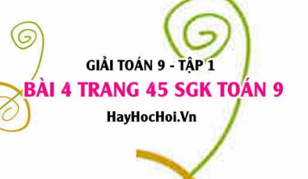 Giải bài 4 trang 45 SGK Toán 9 tập 1